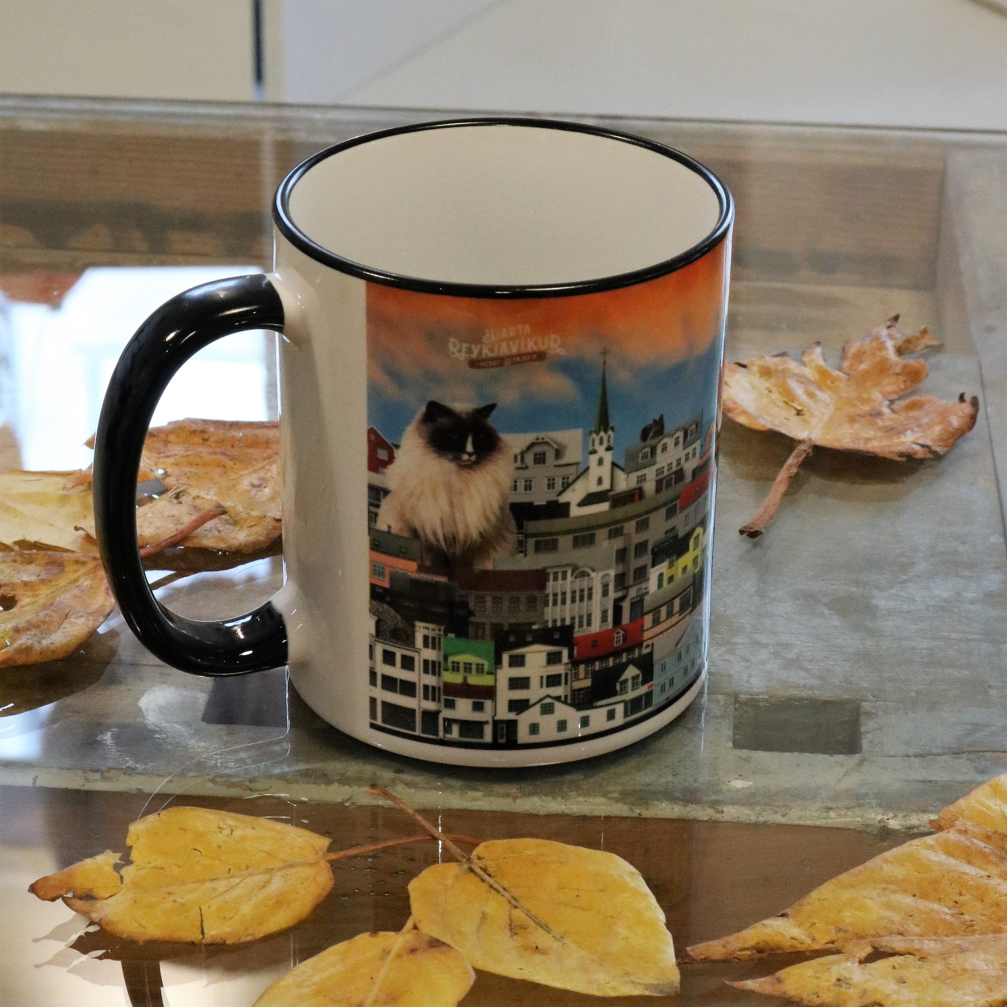 Reykjavíkur kisu krús